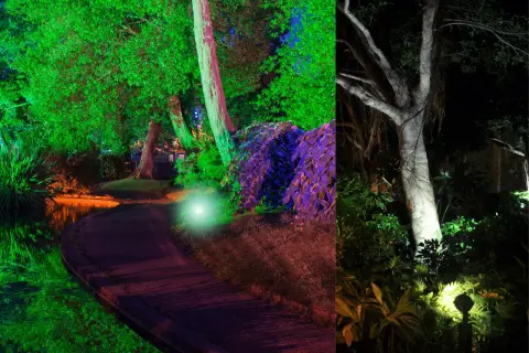 Magiczny park nocą. Oświetlenie drzew od dołu tworzy surrealistyczny, kolorowy krajobraz z zielenią, fioletem i białym światłem.