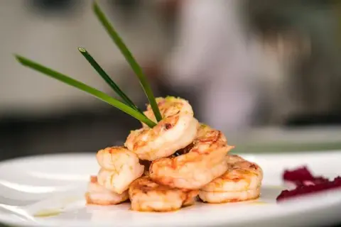 Gdzie zjeść w Kościerzynie? Odkryj najlepsze restauracje i smaki