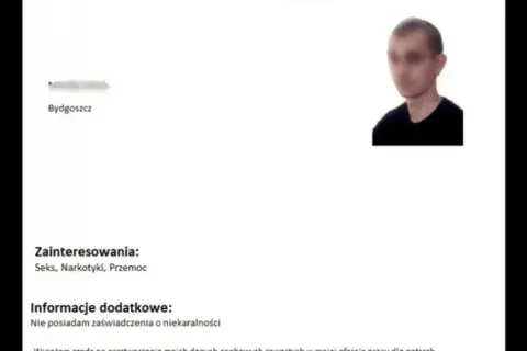 Co wpisujemy w CV? Zabawne odpowiedzi w stylu Familiady