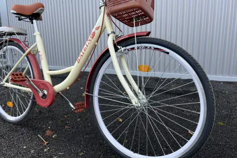 26-Zoll-Damenfahrräder: Perfekt für Sie? Große Kaufberatung!