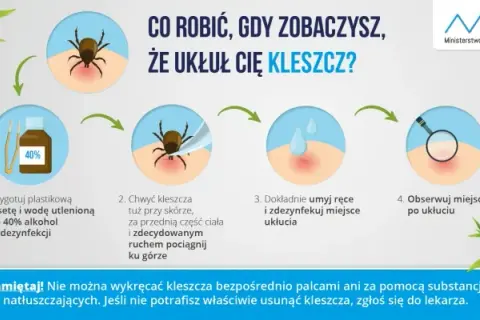 Kleszcz w domu? Jak go bezpiecznie usunąć i sprawdzić, czy nie ma ich więcej