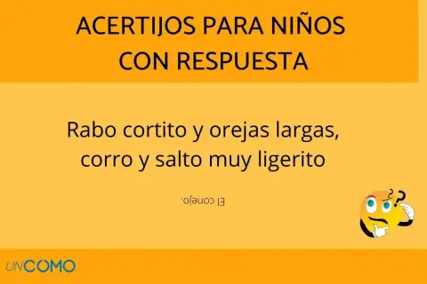 Acertijos para niños de 7 años: "Rabo cortito y orejas largas, corro y salto muy ligerito". ¿Quién soy? El conejo.
