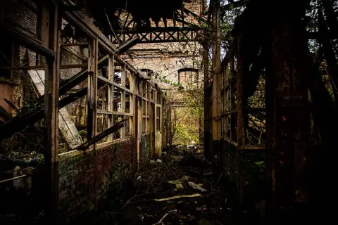 Intérieur délabré d'une usine abandonnée, vestige d'un **urbex Bourges**. Végétation envahissante, poutres rouillées et murs de briques en ruine.