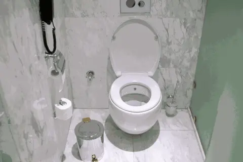 Biała miska WC z otwartą klapą, obok kosz na śmieci i szczotka. W tle uchwyt na papier toaletowy i telefon.