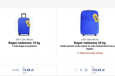 Ryanair bagaż rejestrowany 20 kg - co naprawdę można zabrać?