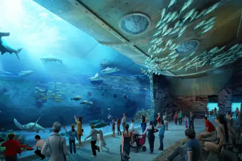 Gdynia atrakcje oceanarium - odkryj fascynujące morskie ekosystemy