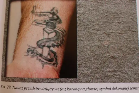 Tatuaż wiara: wąż z koroną na głowie, symbol triumfu i siły.
