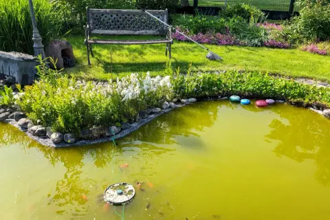 Un étang verdâtre, peut-être à cause d'algues, avec des poissons rouges, des nénuphars et des galets colorés. Un banc et un lampadaire ornent le jardin.