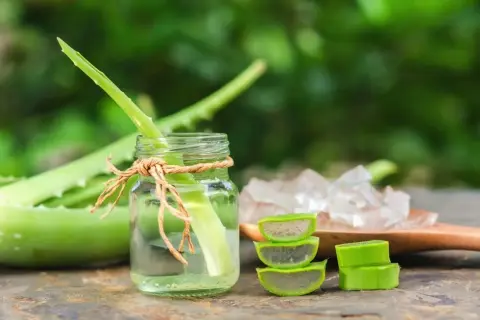 Aloes: Sok czy słodka pułapka? Jak wybrać najlepszy napój?