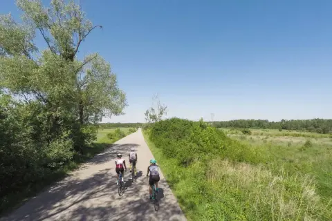 Trzech rowerzystów przemierza gazy trasę rowerową wśród zieleni i pól.