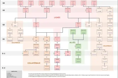 Arbre généalogique complexe, montrant la lignée, les alliés et les collatéraux. Les numéros indiquent la position de chaque individu, utile pour les archives départementales 58 recensement.