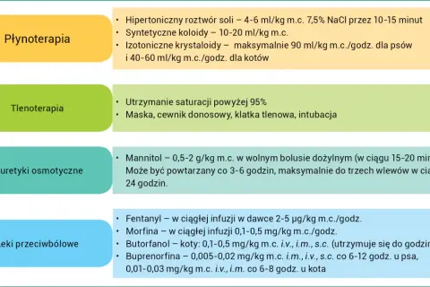 Diuretyki osmotyczne: mannitol 0,5-2 g/kg m.c. w bolusie dożylnym, powtarzany co 3-6 godzin.