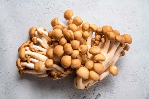 Racimos de setas shimeji de color marrón claro con tallos blancos, listos para ser cocinados.