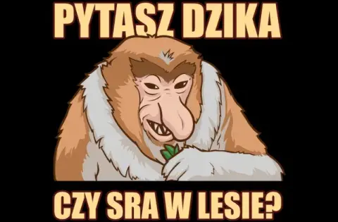 Śmieszna bluza pytasz dzika czy sra w lesie – styl i komfort w jednym