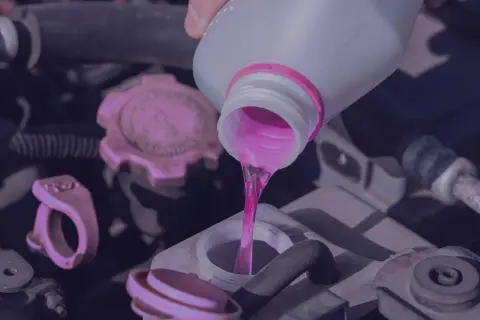 Vertiendo líquido rosa, ya sea anticongelante orgánico o inorgánico, en el motor de un coche.