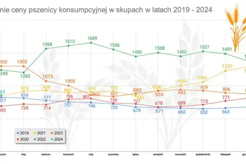 Po ile zboże w skupie – aktualne ceny i spadki na rynku zbóż