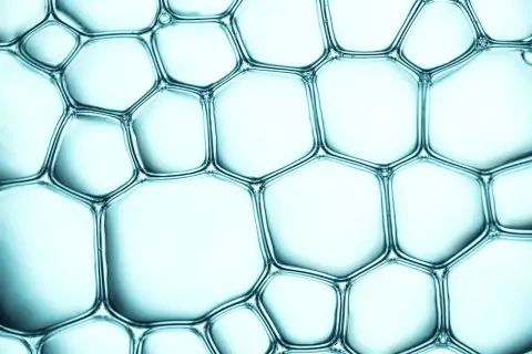 Nahaufnahme von Seifenblasen, die ein wabenartiges Muster bilden. Pentylene Glycol sorgt für die Stabilität dieser Struktur.