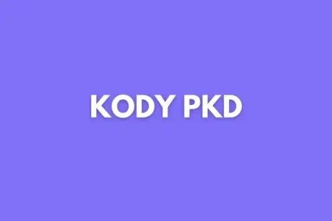 Jaki kod PKD dla sprzedaży internetowej? Uniknij błędów w rejestracji