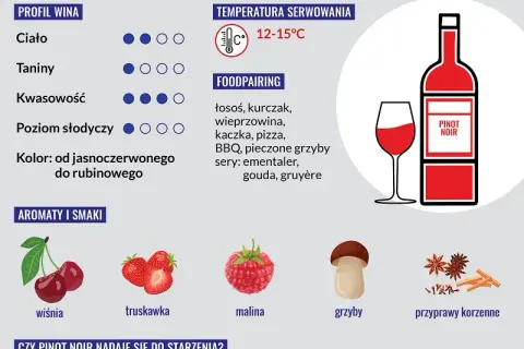 Pinot Noir: Jaki to smak? Odkryj jego tajemnice i połączenia