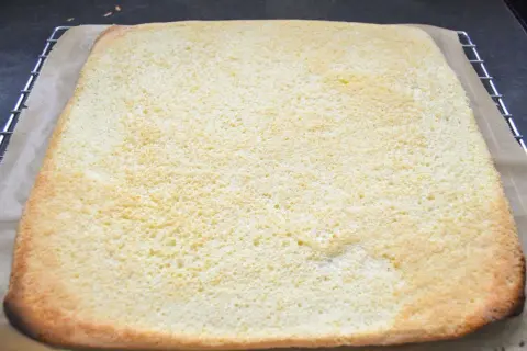 Frisch gebackener, luftiger Biskuitboden für ein leckeres Rezept. Perfekt für Torten und Rollkuchen.