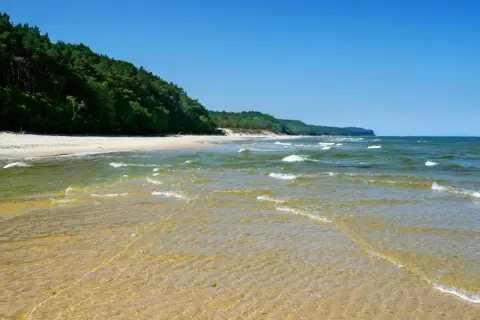 Piękne, dzikie plaże w Polsce. Spokojne fale Bałtyku obmywają piaszczysty brzeg, a las sosnowy tworzy zieloną ścianę w tle.