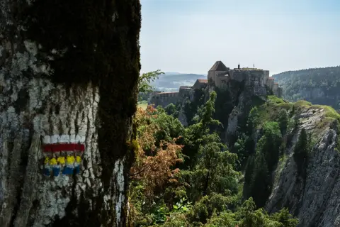 Marqueurs de sentier sur un arbre, indiquant le chemin vers un château perché sur une falaise. Quel est le gr le plus difficile à atteindre ?