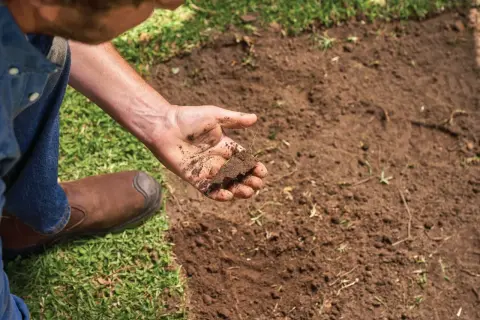 Mano examinando la textura del suelo barro, con un trozo de tierra y raíces.
