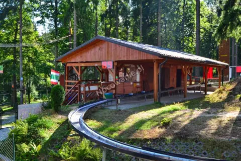 Czarodziejska Góra Jedlina-Zdrój: Park linowy dla rodzin przewodnik