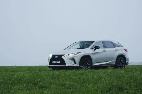 Srebrny Lexus RX 450h na tle zielonej łąki i mglistego nieba. Elegancki SUV gotowy na każdą podróż.