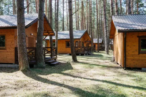 Drewniane domki w lesie, idealne na tanie domki na Mazurach. Słońce przebija się przez sosny, tworząc cień na trawie.