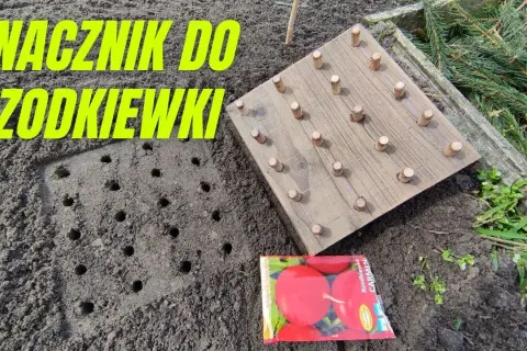 Jak zrobić znacznik do siania warzyw - proste kroki i porady