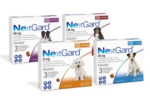 NexGard Kautabletten für Hunde, die Zecken und Flöhe bekämpfen. Afoxolaner ist der Wirkstoff. NexGard hund giftig? Nein, bei korrekter Anwendung sicher.