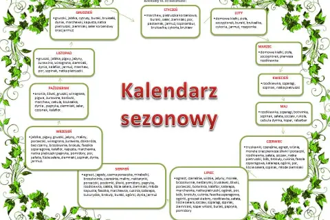 Kiedy sezon na cukinie? Lipiec i sierpień smak i oszczędność