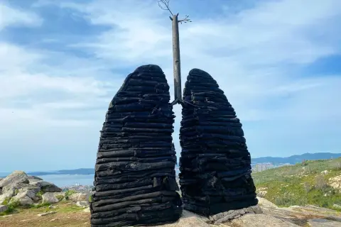 Escultura de pulmones de madera quemada en el Castro de Chandebrito, con un árbol brotando en el centro.