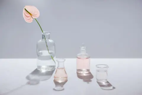Różowa anturium w wazonie i szklane naczynia z płynami. Czy benzyl alcohol czy jest szkodliwy?