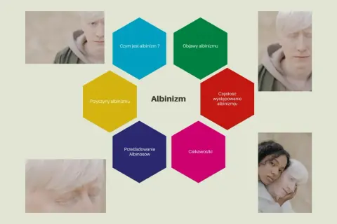 Grafika przedstawia schemat informacyjny o albinizmie, z portretami osób z albinizmem.
