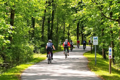 Grupa rowerzystów przemierza malownicze trasy rowerowe Trójmiasta, otoczona bujną zielenią.