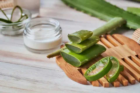 Frische Aloe Vera-Scheiben und eine Creme deuten auf die wohltuende aloe vera gel wirkung für die Haut hin.