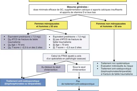 Algorithme de prise en charge de l'ostéoporose sous corticothérapie. Si équivalent prednisone ≥ 7,5 mg/j, un traitement anti-ostéoporotique est envisagé.