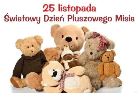 Tajemnica pluszowego misia: Jak powstał i skąd wziął imię "Teddy"?