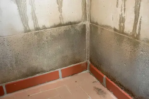 Narożnik piwnicy z zaciekami i ciemnymi plamami na ścianach, świadczącymi o wilgoci w piwnicy latem.