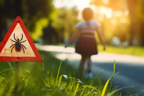 Kleszcze u dzieci objawy: jak rozpoznać groźne choroby po ukąszeniu