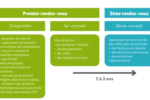 Schéma du premier rendez-vous : diagnostic (systèmes, moyens, produits phytopharmaceutiques) et 1er conseil (plan d'action). Suivi d'un 2ème rendez-vous avec ajustement.