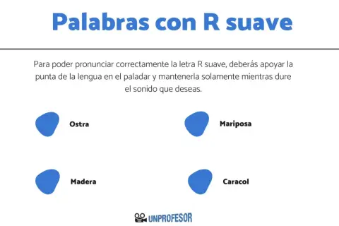 Palabras con R suave: Ostra, Mariposa, Madera, Caracol. Aprende a pronunciar la R suave.