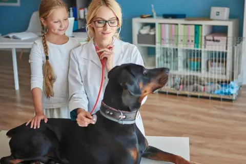 Co ile odrobaczać psa? Kluczowe wskazówki dla zdrowia pupila