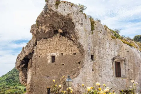 Antiche domus de janas scavate nella roccia, con finestre e mura in pietra, circondate da vegetazione e fiori gialli.