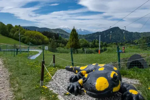 Krościenko nad Dunajcem: Odkryj Pieniny! Szlaki, spływ i atrakcje