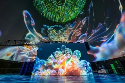 Immersive Projektionen von Quallen und Korallen im Kuppelsaal, Wuppertal. Ein visueller Skywalk durch eine Unterwasserwelt.