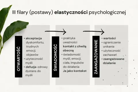 Trzy filary elastyczności psychologicznej: otwartość, świadomość i zaangażowanie. Kluczowe dla terapii ACT.