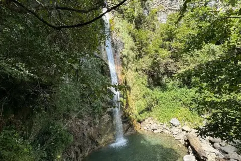 Une belle cascade de seris tombe dans un bassin d'eau claire, entourée de végétation luxuriante et de rochers.
